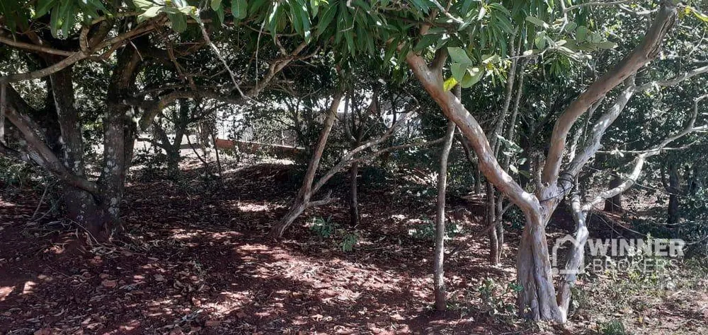 Sítio, 2 quartos, 2 hectares - Foto 8