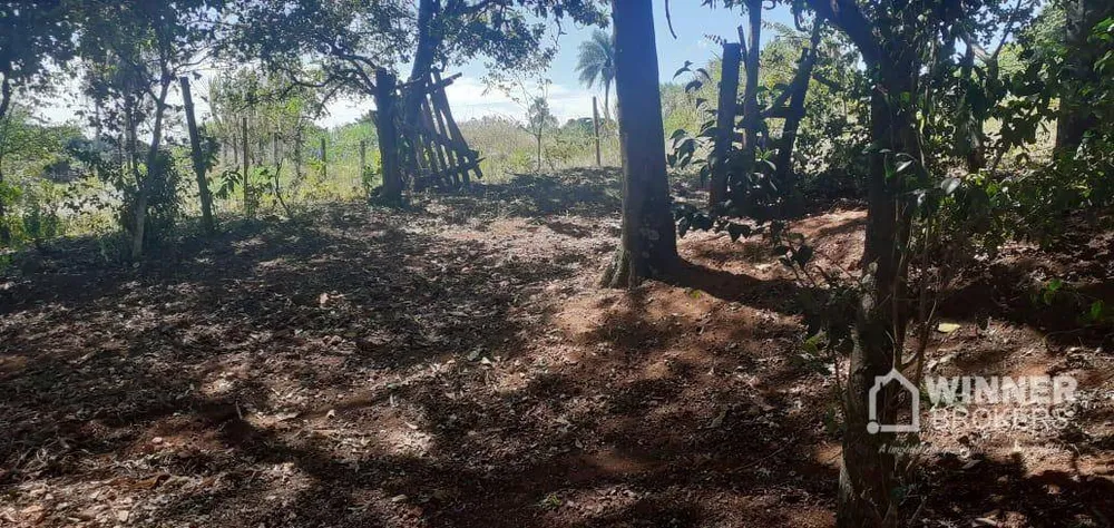 Sítio, 2 quartos, 2 hectares - Foto 10