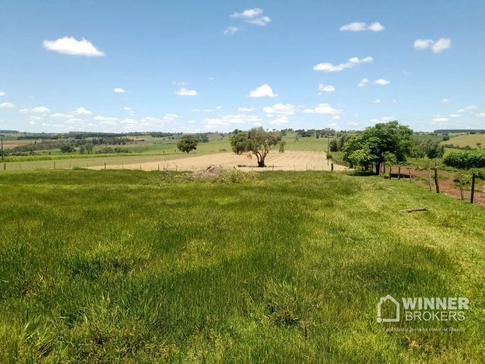 Sítio, 1 quarto, 8 hectares - Foto 1