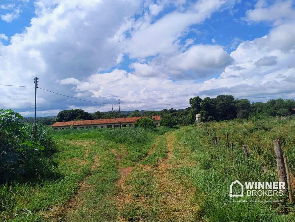 Fazenda, 24 hectares - Foto 6
