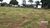 Terreno, 3 hectares - Foto 4