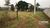Terreno, 3 hectares - Foto 2