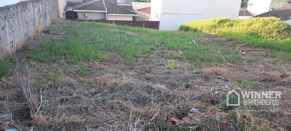 Terreno à venda, 300M2 - Foto 2