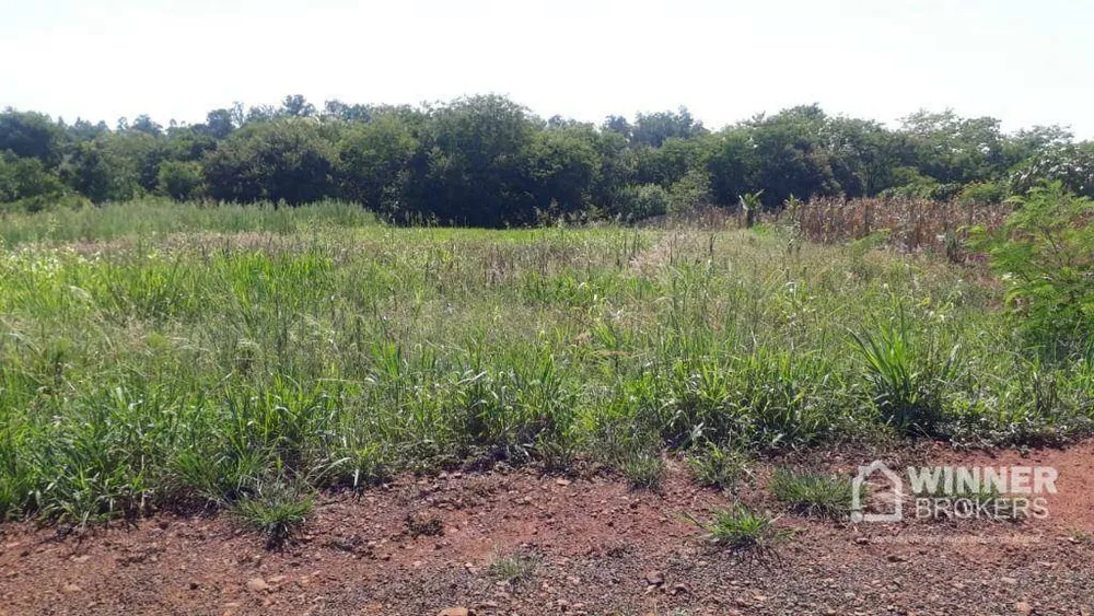 Chácara, 1500 m² - Foto 4