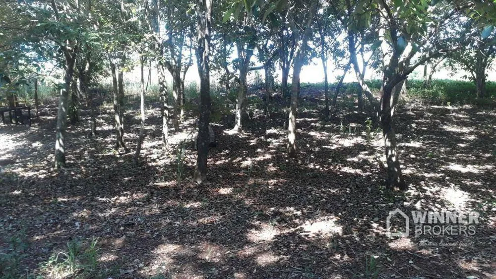 Chácara, 1500 m² - Foto 2
