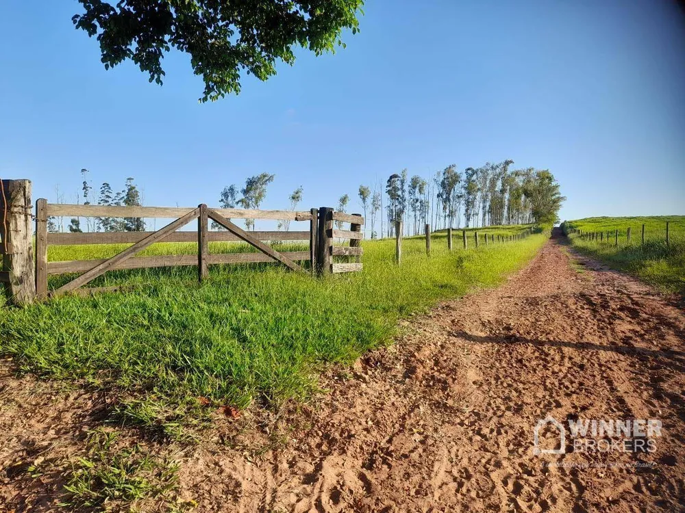 Chácara, 7 hectares - Foto 1