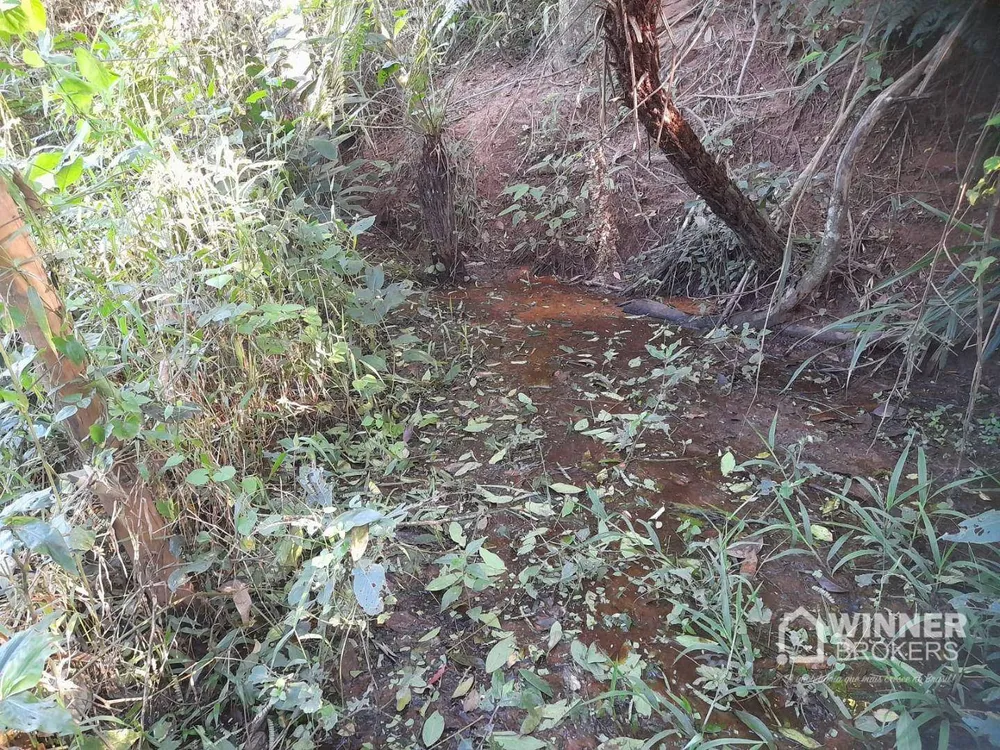 Chácara, 7 hectares - Foto 4