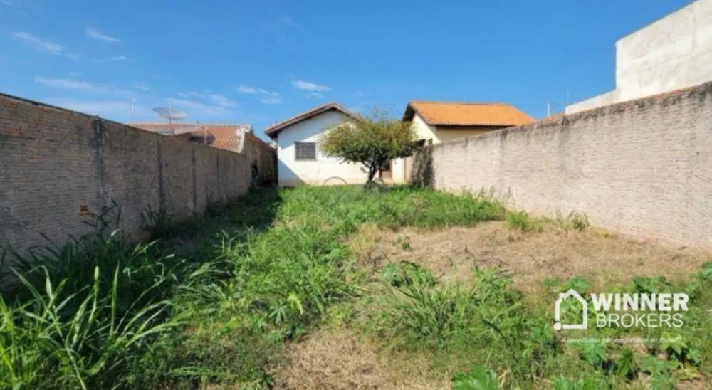 Casa, 3 quartos, 382 m² - Foto 12