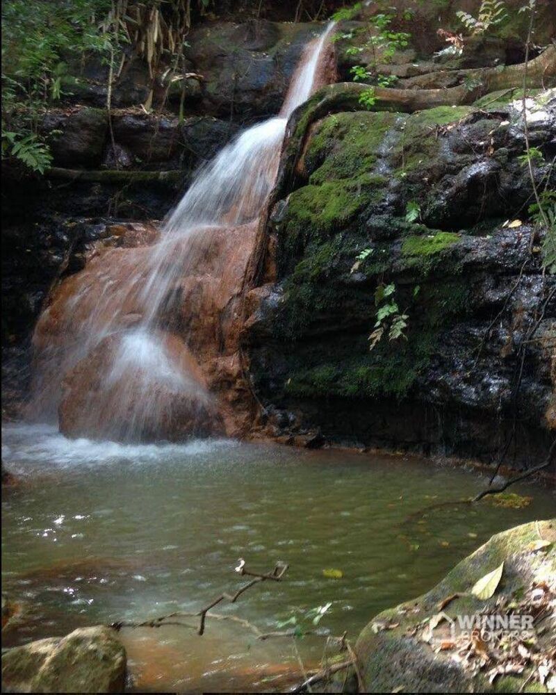 Chácara à venda, 15000M2 - Foto 3