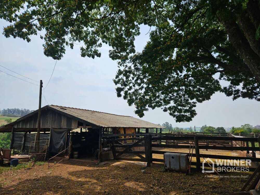 Sítio à venda com 3 quartos, 28000M2 - Foto 5