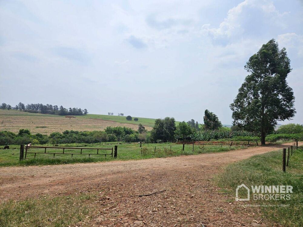 Sítio à venda com 3 quartos, 28000M2 - Foto 1