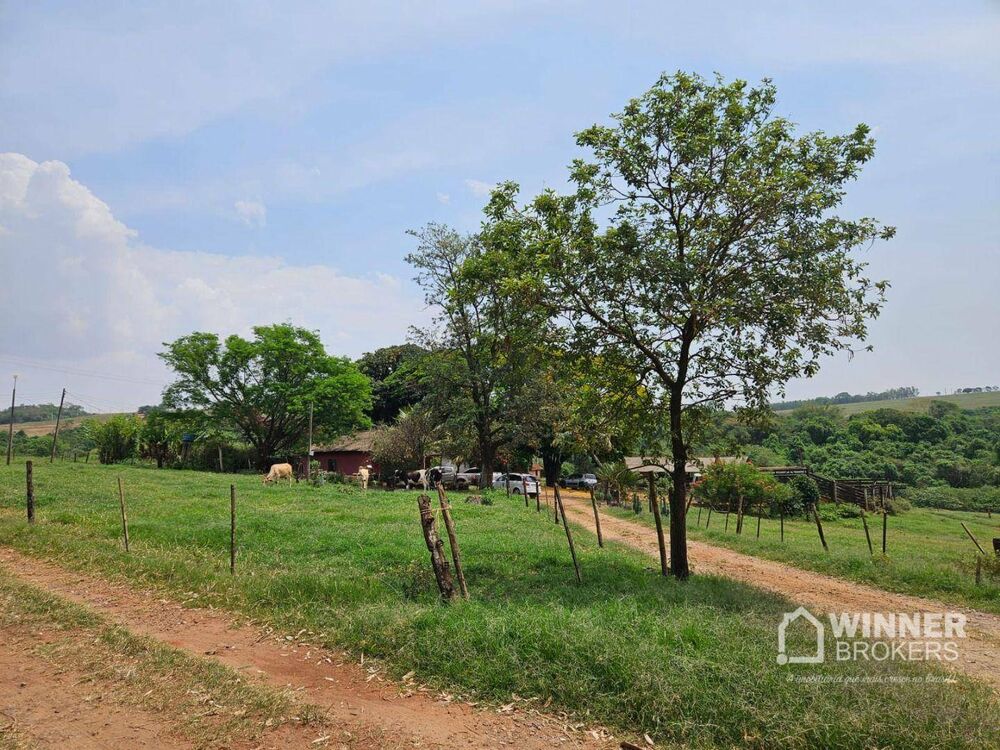 Sítio à venda com 3 quartos, 28000M2 - Foto 3