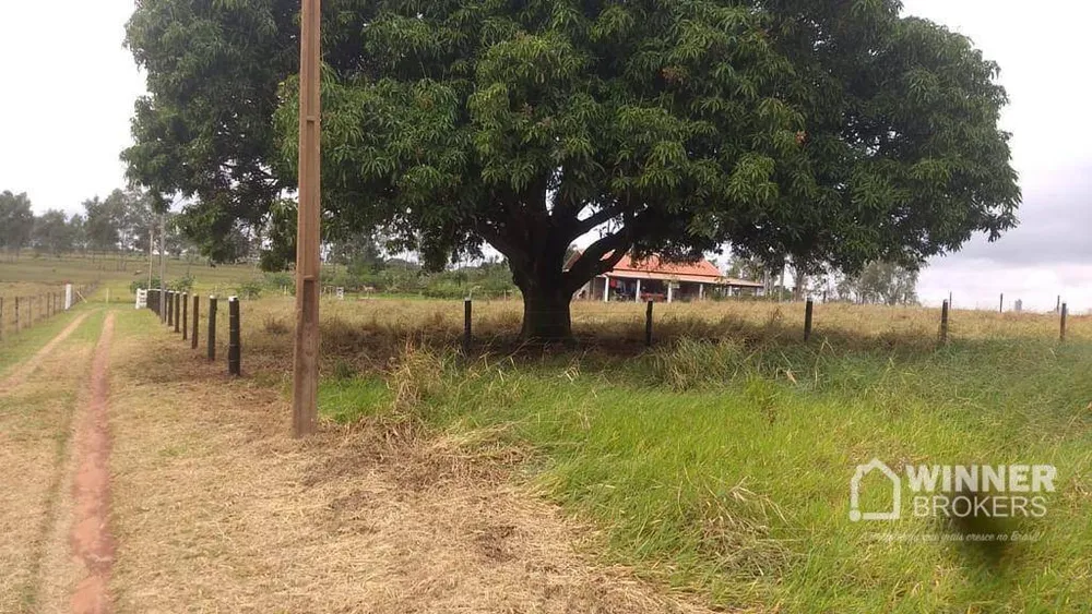 Chácara, 1 quarto, 3000 m² - Foto 1