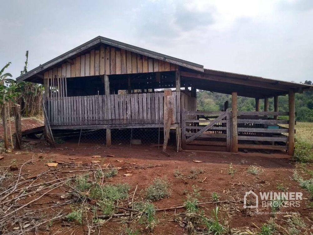 Sítio à venda com 3 quartos, 120m² - Foto 10