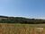 Sítio, 3 quartos, 5 hectares - Foto 12