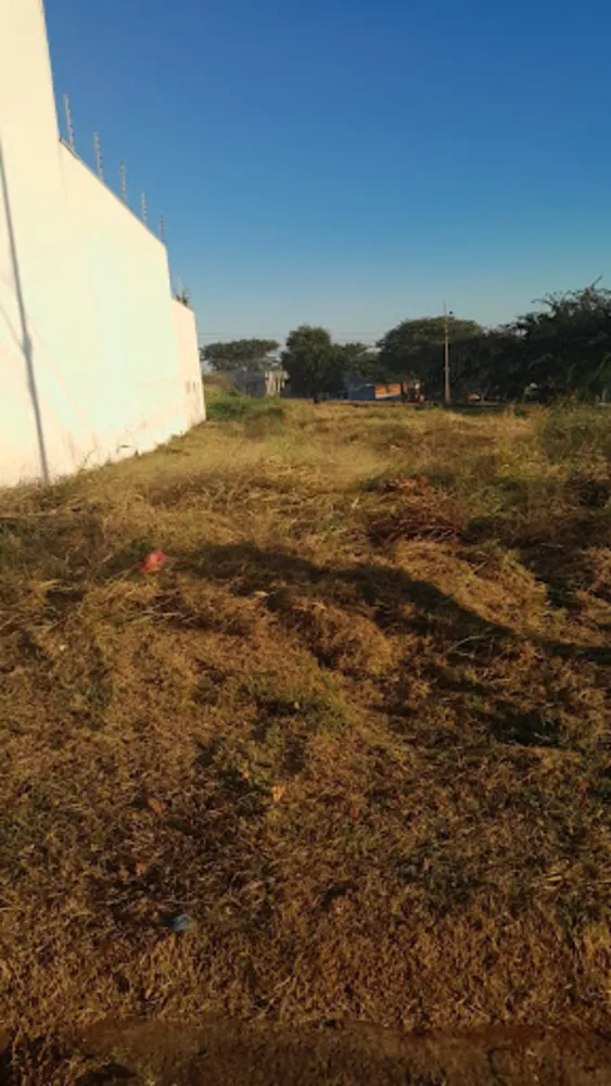 Terreno, 572 m² - Foto 5