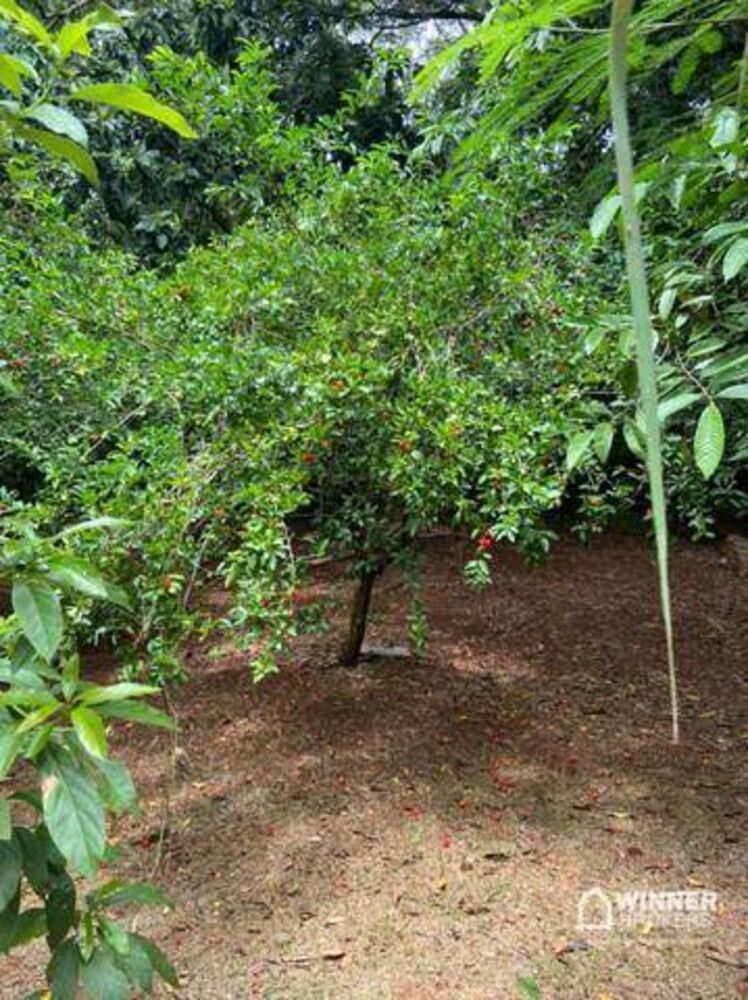Chácara à venda com 5 quartos, 1600M2 - Foto 12