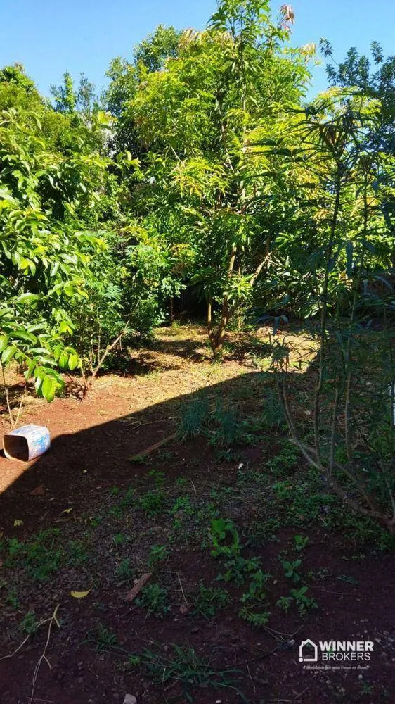 Casa, 3 quartos, 140 m² - Foto 8