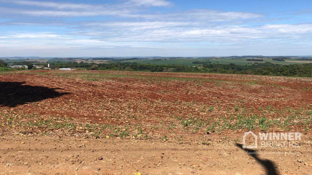 Terreno, 1210 hectares - Foto 9