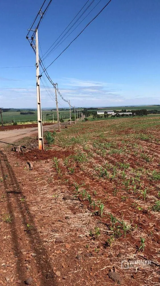 Terreno, 1210 hectares - Foto 6