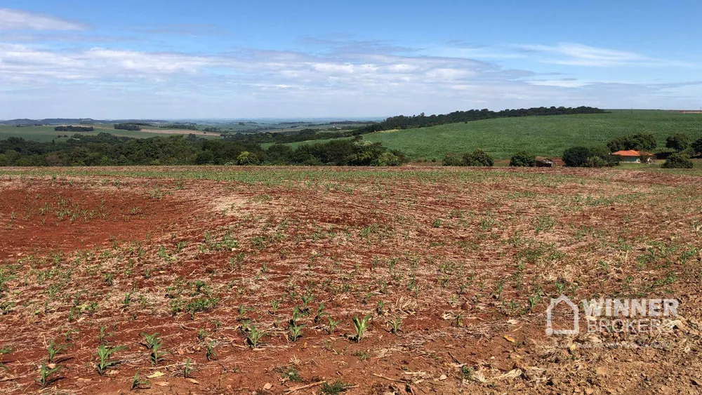 Terreno, 1210 hectares - Foto 8