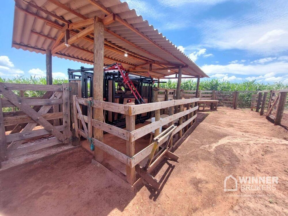 Chácara, 2 quartos, 4 hectares - Foto 9