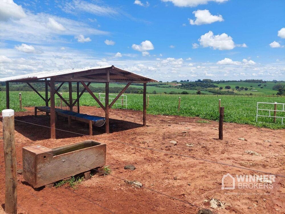 Chácara, 2 quartos, 4 hectares - Foto 4