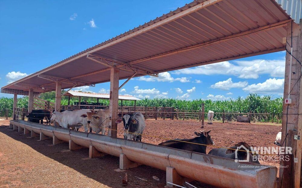 Chácara, 2 quartos, 4 hectares - Foto 12