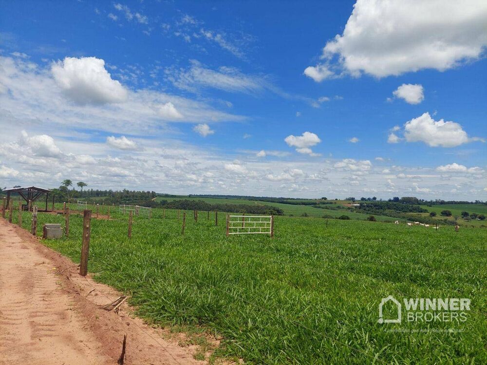 Chácara, 2 quartos, 4 hectares - Foto 5