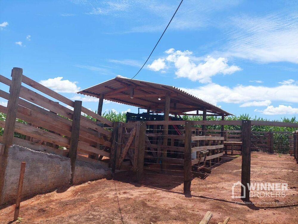 Chácara, 2 quartos, 4 hectares - Foto 8