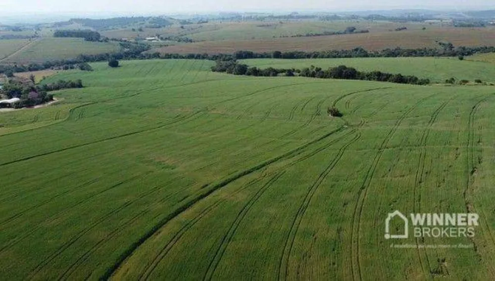 Fazenda, 69 hectares - Foto 7