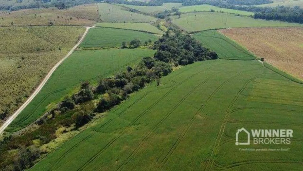 Fazenda, 69 hectares - Foto 6