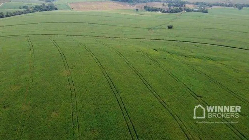 Fazenda, 69 hectares - Foto 1