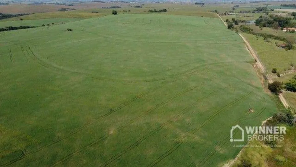 Fazenda, 69 hectares - Foto 8