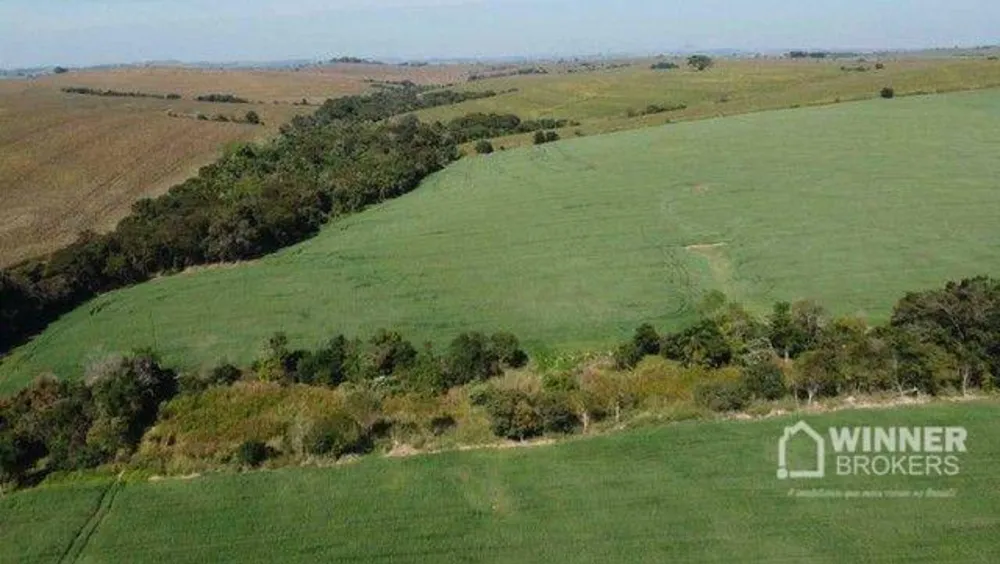Fazenda, 69 hectares - Foto 3