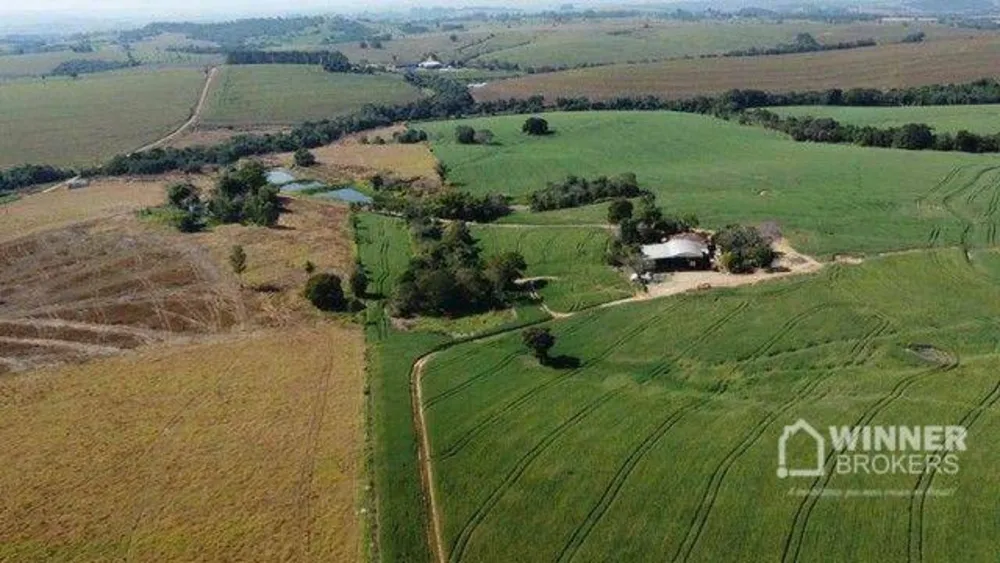 Fazenda, 69 hectares - Foto 9