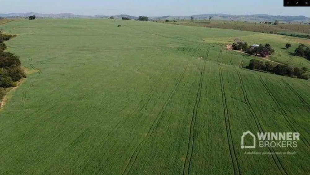 Fazenda, 69 hectares - Foto 4