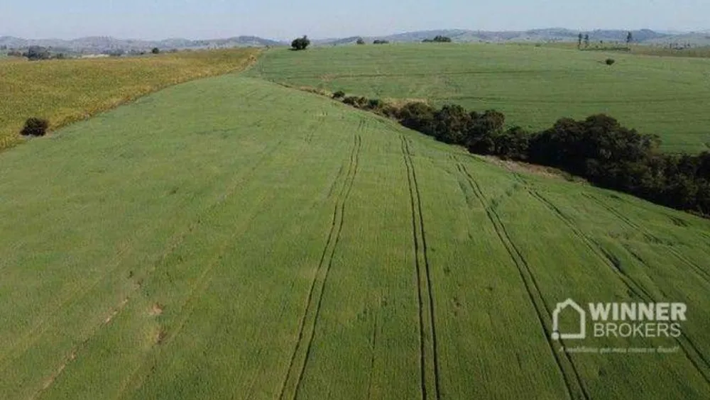 Fazenda, 69 hectares - Foto 2