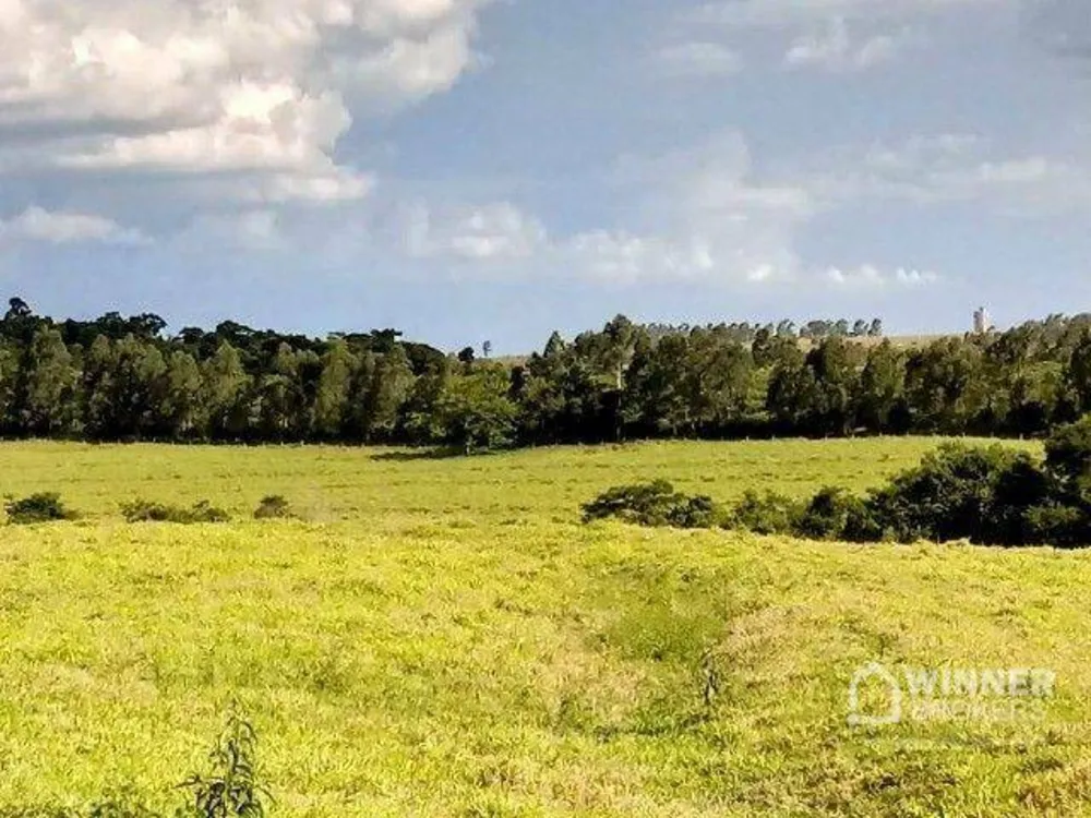 Chácara, 2 hectares - Foto 3