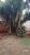 Terreno, 300 m² - Foto 5