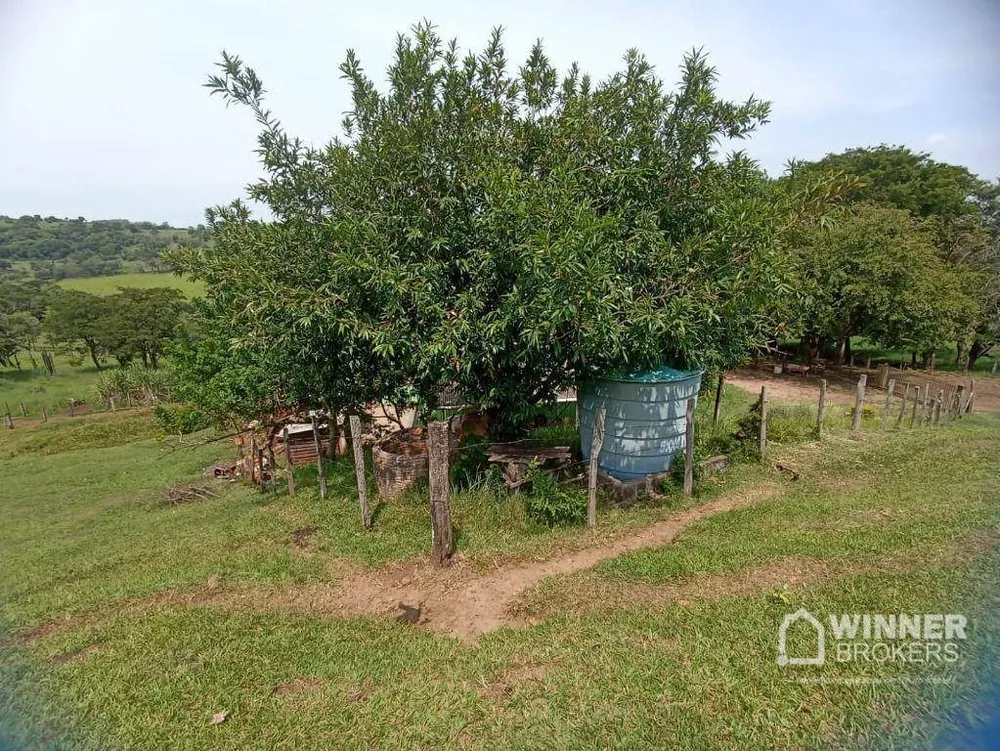 Sítio, 30 hectares - Foto 1