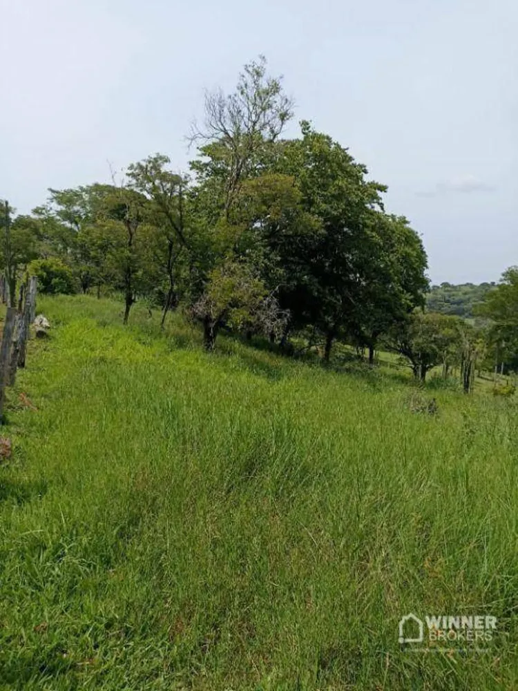 Sítio, 30 hectares - Foto 4