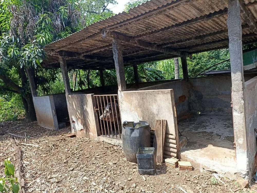 Sítio, 30 hectares - Foto 11