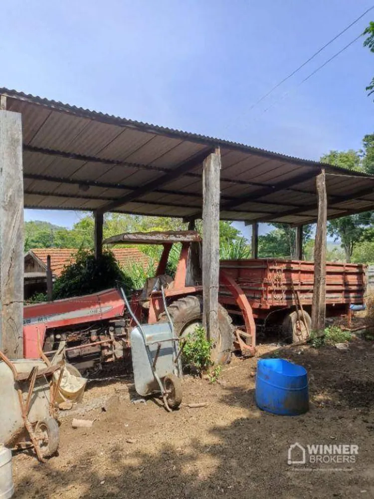 Sítio, 30 hectares - Foto 3