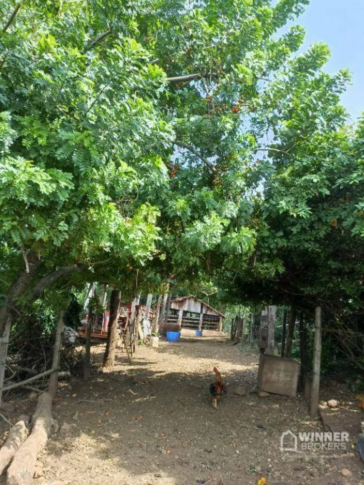 Sítio, 30 hectares - Foto 12