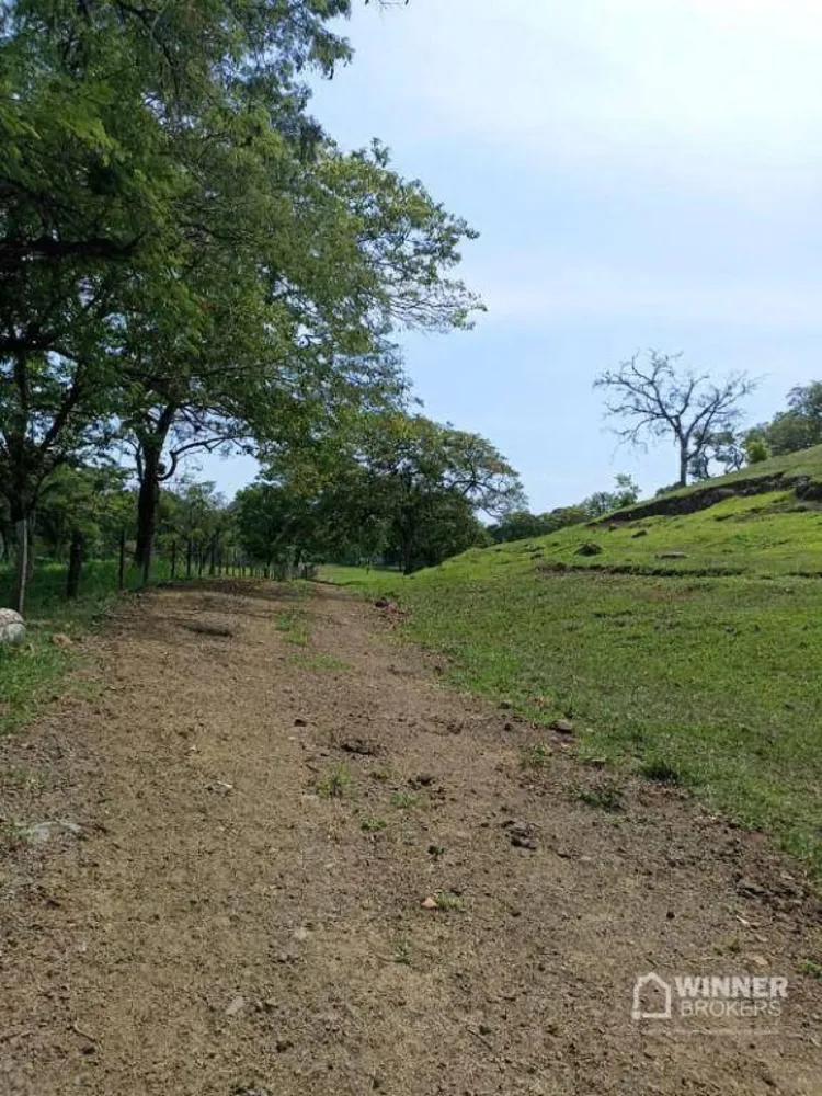 Sítio, 30 hectares - Foto 10
