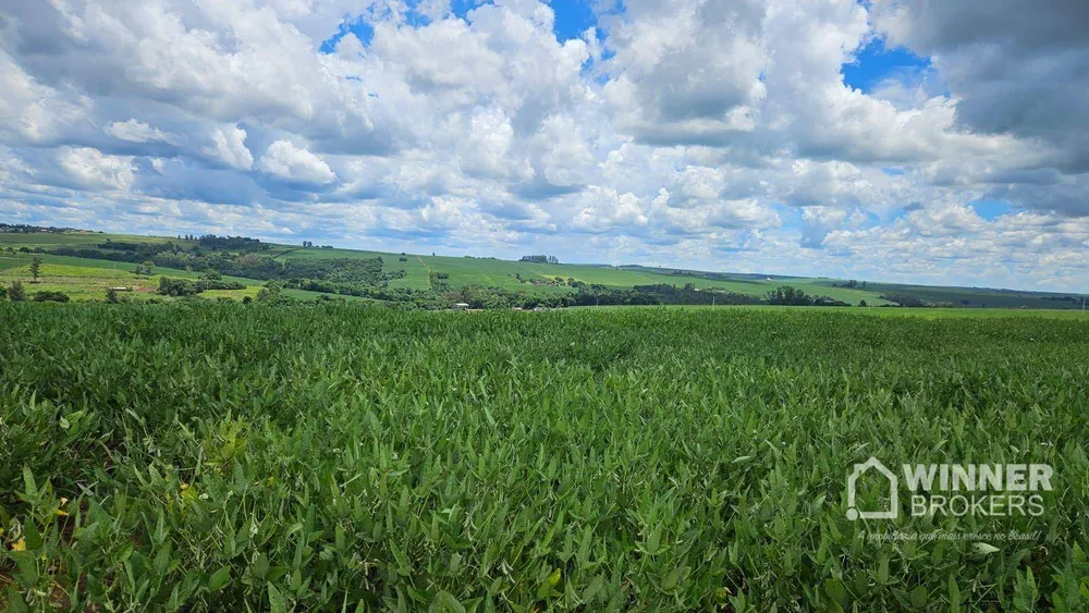 Sítio, 1 quarto, 42 hectares - Foto 7