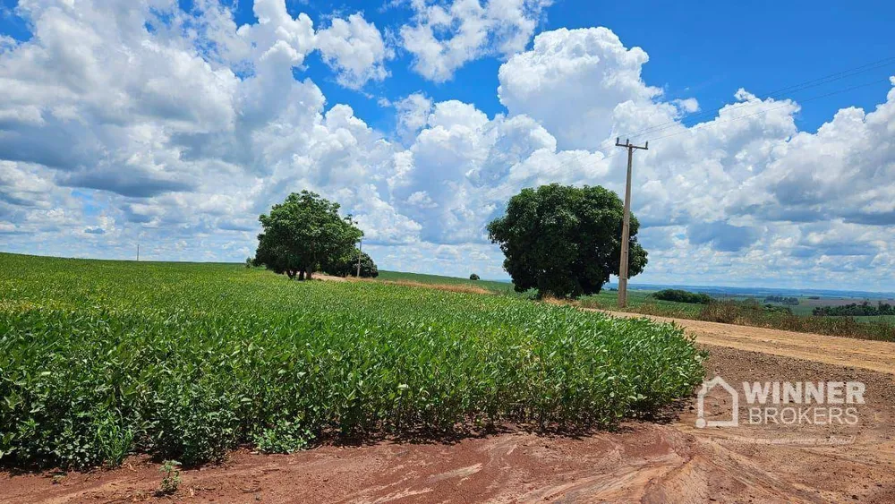 Sítio, 1 quarto, 42 hectares - Foto 3