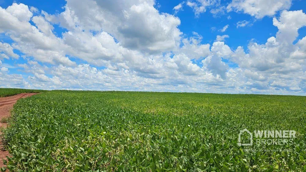 Sítio, 1 quarto, 42 hectares - Foto 4