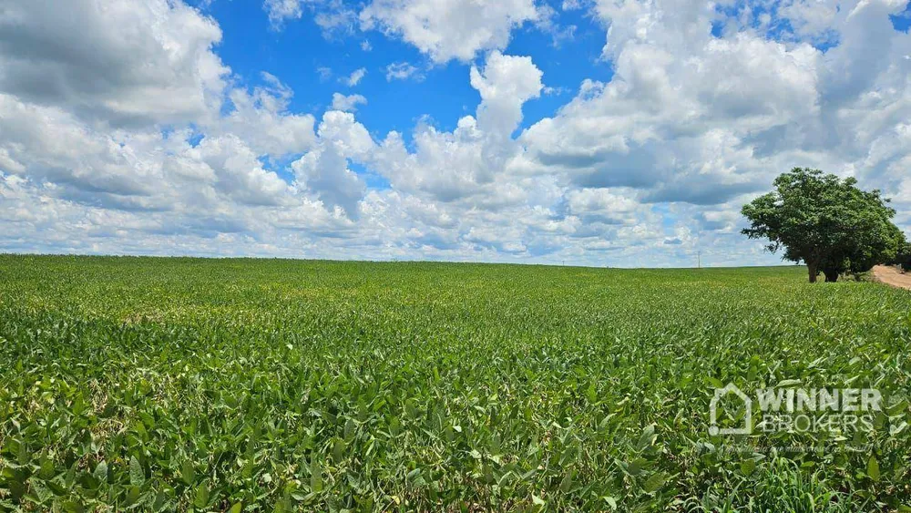 Sítio, 1 quarto, 42 hectares - Foto 6